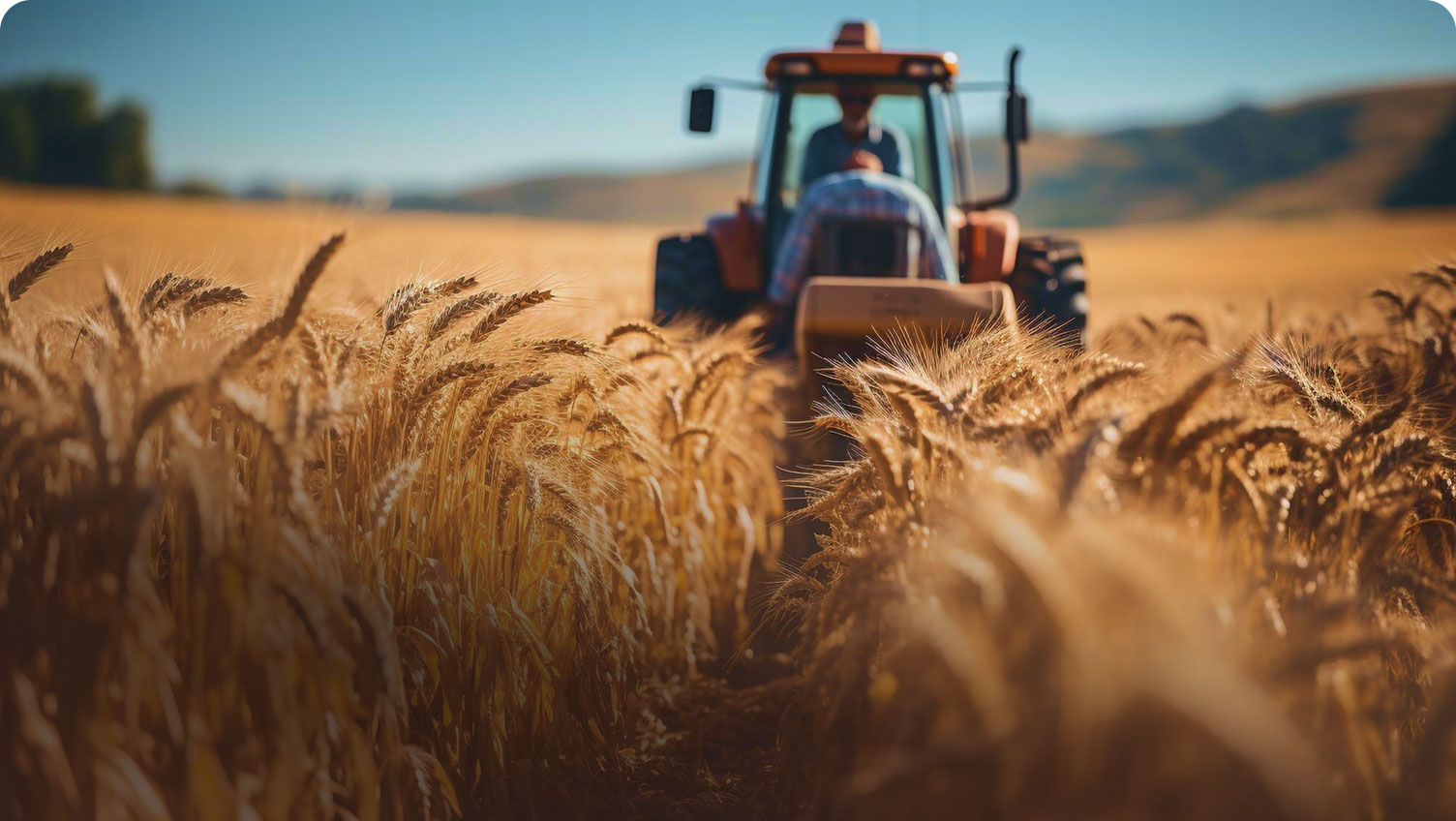 Des technologies vertes au service de l’agriculture durable