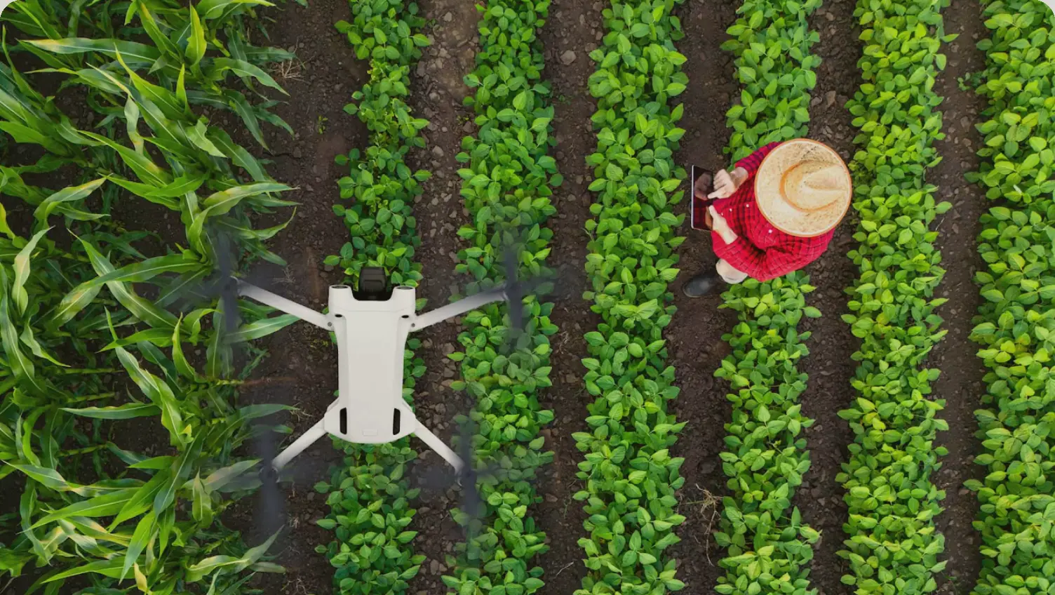 MEDIS SANTÉ VÉGÉTALE : cultiver l’innovation pour vos récoltes