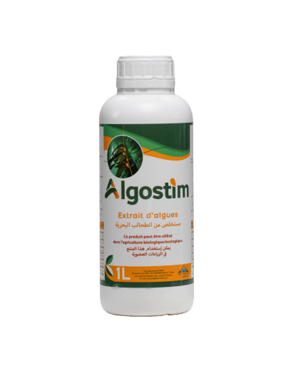 Algostim : Un extrait d’algues qui révèle le plein potentiel de vos cultures.