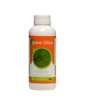 Nano-Selica : Plantes plus solides, des fruits et des légumes plus fermes, pour une fraîcheur qui dure