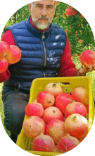 En tant que producteur