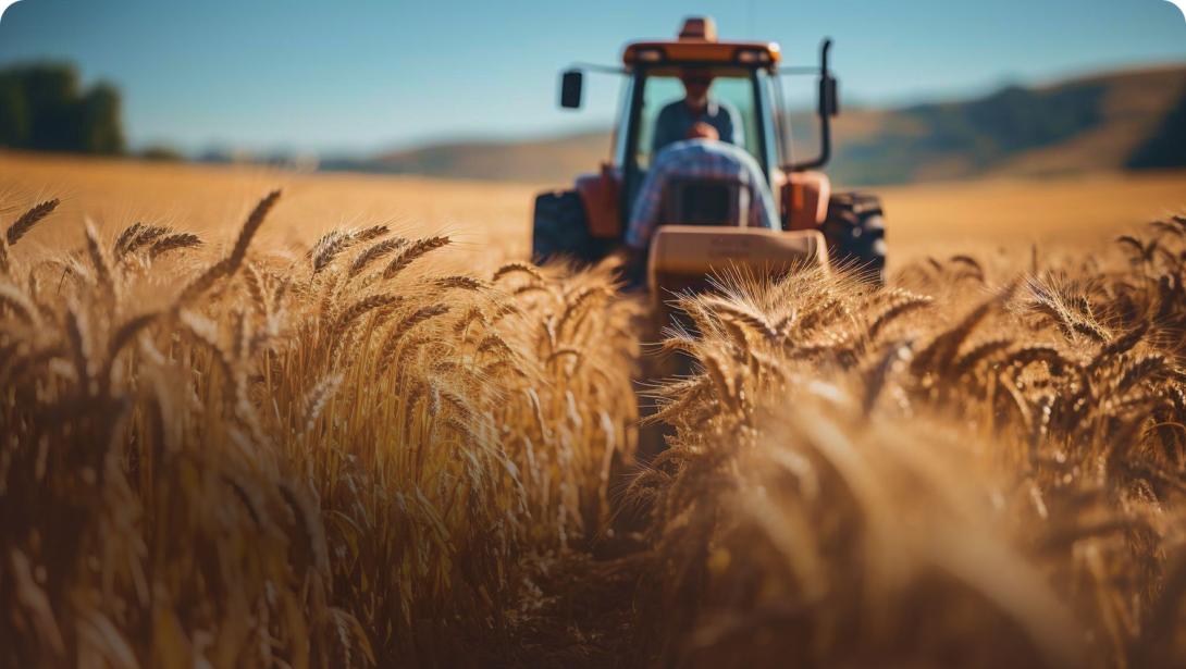 Des technologies vertes au service de l’agriculture durable