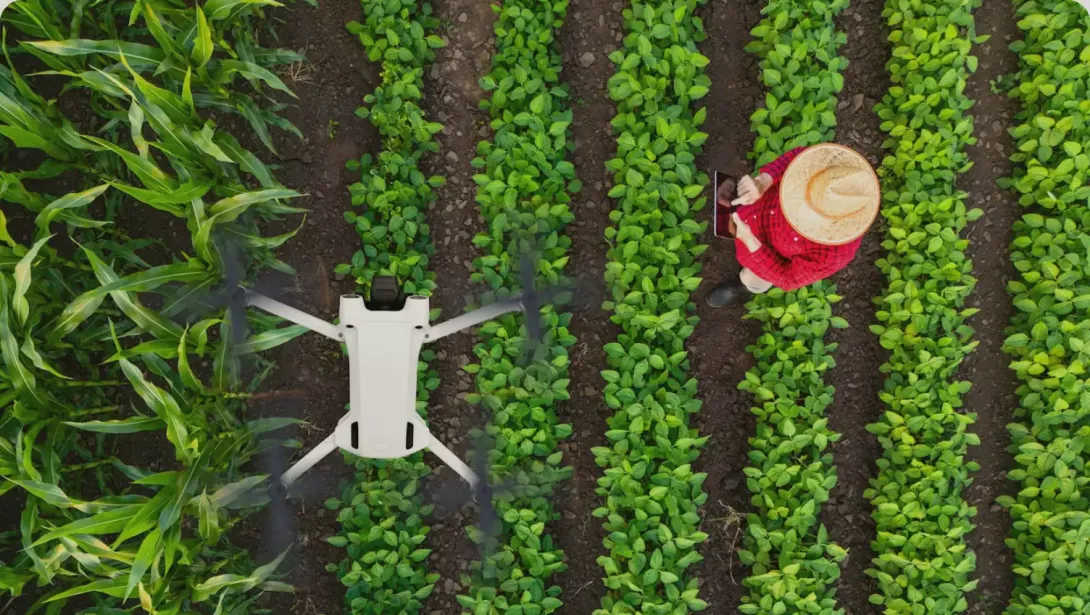 MEDIS SANTÉ VÉGÉTALE : cultiver l’innovation pour vos récoltes